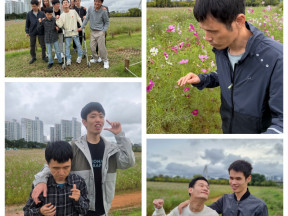 25.10.16. (목) 코스모스 꽃구경 나들이(1)