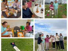 25.10.17. (금) 코스모스 꽃구경 나들이(2)