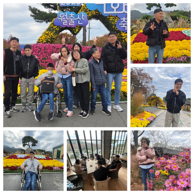11.12 기찬랜드 국화축제.jpg