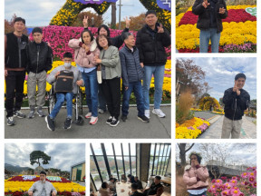 25.11.12 영암기찬랜드 국화축제(4)